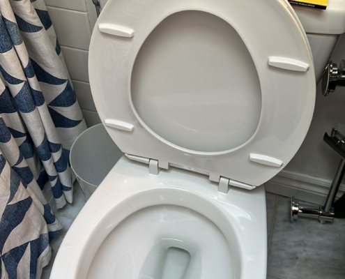 Clean White Toilet Seat