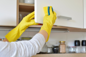 HOUSE CLEANING SERVICES IN PORT MOODY