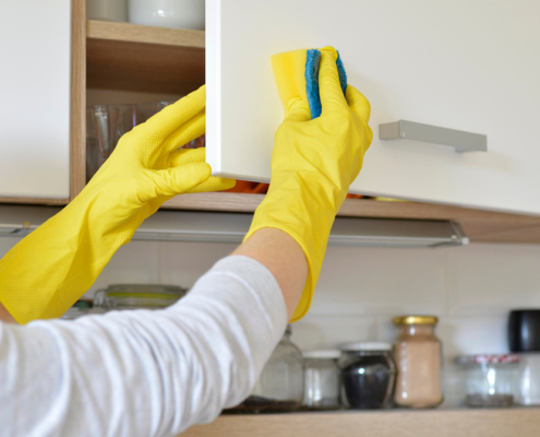 HOUSE CLEANING SERVICES IN PORT MOODY